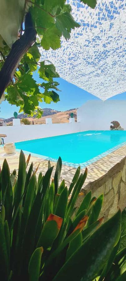 Preciosa Casa De Pueblo Entre Ronda Y Setenil La Posada De Catalina Монтекорто Екстериор снимка