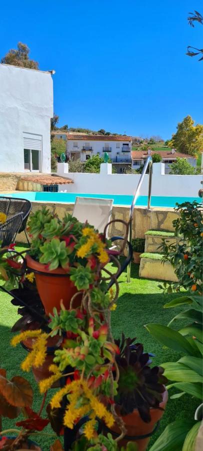 Preciosa Casa De Pueblo Entre Ronda Y Setenil La Posada De Catalina Монтекорто Екстериор снимка