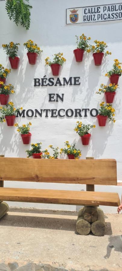 Preciosa Casa De Pueblo Entre Ronda Y Setenil La Posada De Catalina Монтекорто Екстериор снимка
